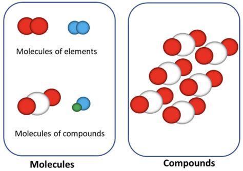 What is the Difference Between a Molecule and a Compound?