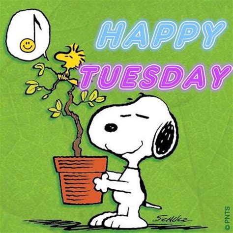 Snoopy Happy Tuesday Quote Pictures, Photos, and Images for Facebook, Tumblr, Pinterest, and Twitter