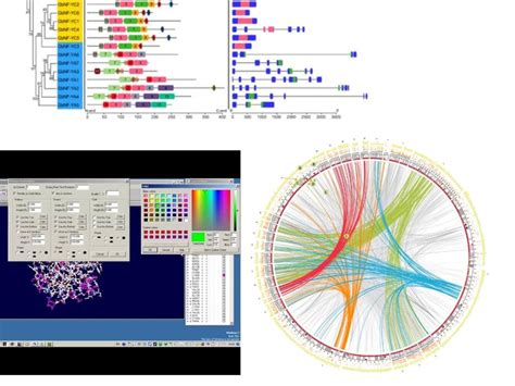 Your bioinformatics data analysis and visualization done professionally | Upwork