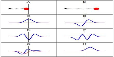 About Wavefunction - Assignment Point