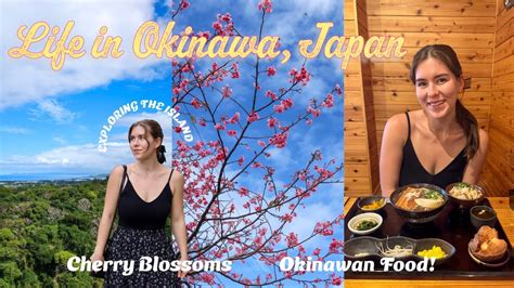 Life in Okinawa, Japan🌸 ~ New Cafes, Nakijin Castle Ruins, Okinawan Food & Cherry Blossoms ...