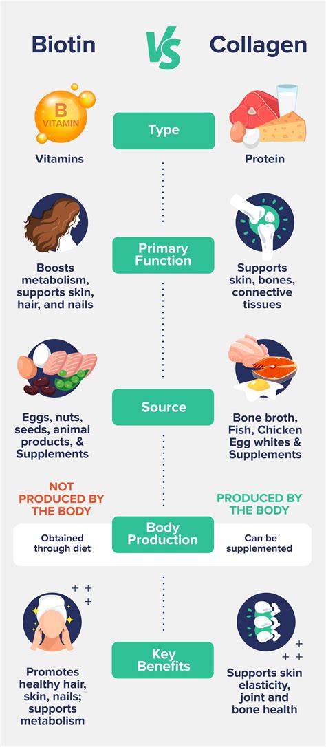 Biotin vs. Collagen: What Are the Differences? - The Nutrition Insider