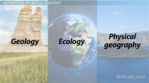 Biogeography Definition, Subcategories & Application Examples - Lesson ...