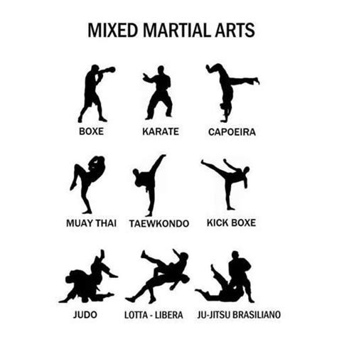 Pin by Nekhai Hong on Fitness Is Life!!! | Martial arts styles, Mixed martial arts, Martial arts