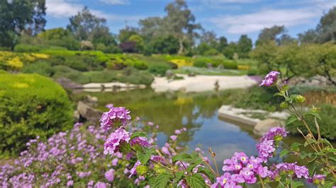 Cowra Japanese Garden | Two Minute Postcards