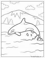 20 Killer Whale Coloring Pages Free PDF Printables sketch template