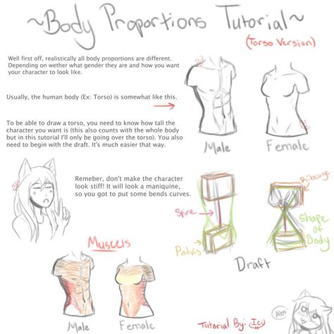 Torso/Body Proportions Tutorial by MorninWaffles on DeviantArt