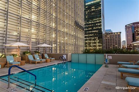 The Westin Phoenix Downtown Pool: Pictures & Reviews - Tripadvisor