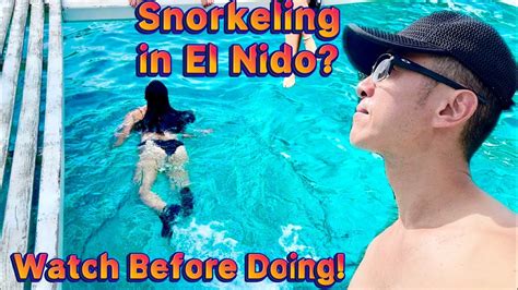 Snorkeling in El Nido? WATCH Before doing! 🌴 Tour A 🇵🇭 Palawan ...