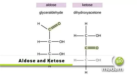 Difference Between Aldose and Ketose | Science