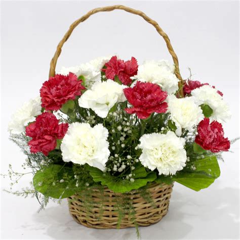 Pure Basket - 15 Red & White Carnations Basket and Card