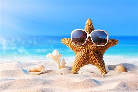 Download Sunglasses Starfish Shell Sand Artistic Summer 4k Ultra HD ...