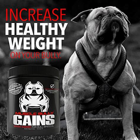 Muscle Bully Gains - Mass Weight Gainer, Whey Protein for Dogs (Bull ...