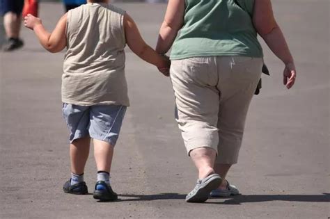 Children of divorced parents more likely to be obese, according to research - Wales Online