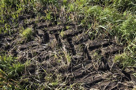 arable agricultural land 9414323 Stock Photo at Vecteezy