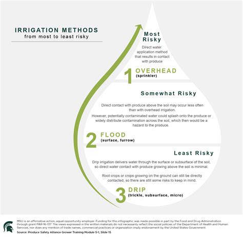 Irrigation Methods Infographic - Agrifood Safety