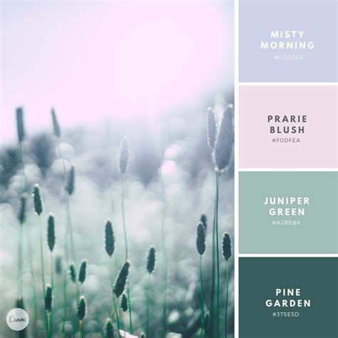 Canva on Twitter: "Our latest Color Combination: Cool Meadow! 🍃 Make ...
