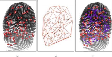 Minutiae-based Fingerprint Extraction and Recognition | IntechOpen