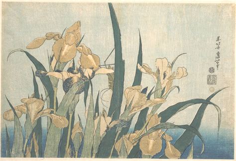 Iris et sauterelle, Hokusai | Краска, Художественные принты, Виртуальное искусство