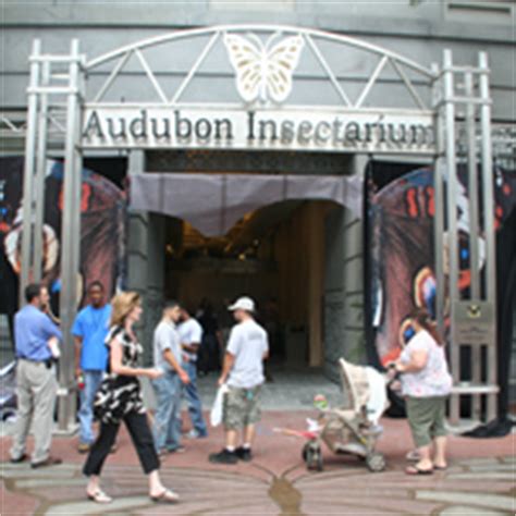 Audubon Butterfly Garden and Insectarium | New Orleans | Attraction