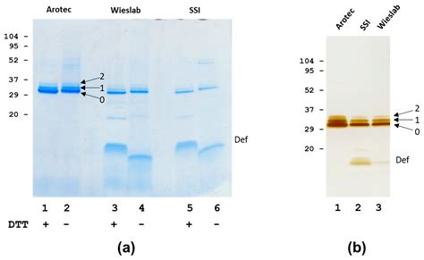 Antibodies | Free Full-Text | Defensin Interactions in Relation to Monoclonal and Disease ...