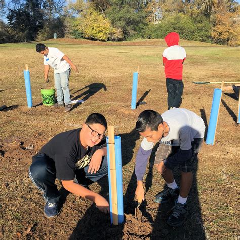 Arcade Fundamental Middle School Plants Valley Oak Trees on Haggin Oaks Golf Complex - Morton ...