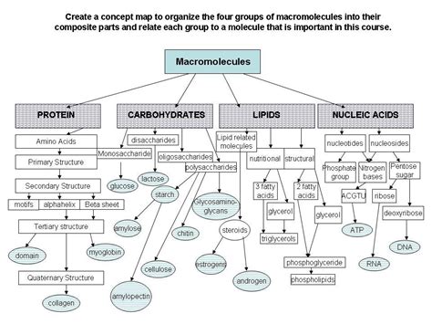 Biochemistry - Welcome to Mr. Hall's Lab