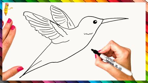 How To Draw A Hummingbird Step By Step - Hummingbird Drawing Easy