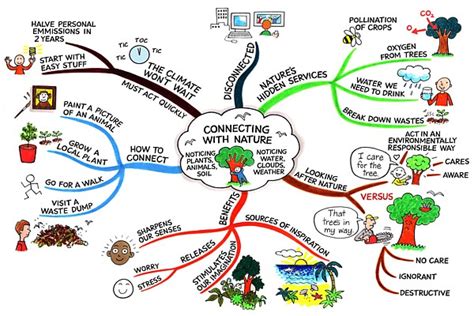 Nature Connections @ Mind Map Art