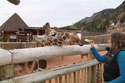 Cheyenne Mountain: Map Of Cheyenne Mountain Zoo