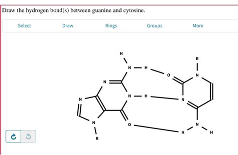 draw the hydrogen bond s between guanine and cytosine - vansxtylerthecreator