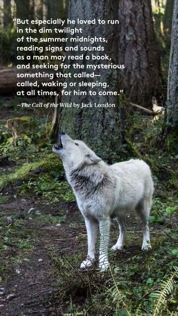 Call Of The Wild Quotes - ShortQuotes.cc