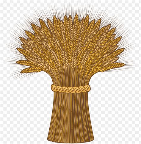 Wheat Clipart Png Photo - 28276 | TOPpng