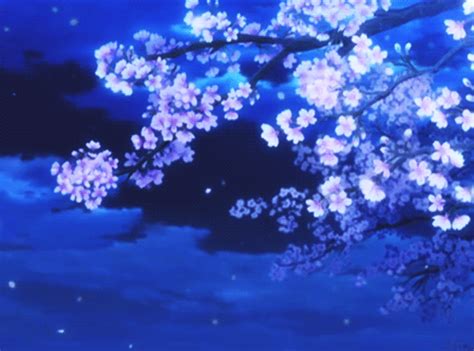 Cherry Blossoms | Anime Amino