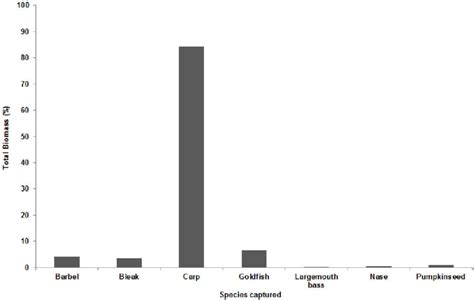 Total biomass (%) of the main species captured in the angling... | Download Scientific Diagram