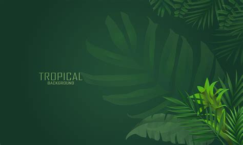 TROPICAL SUMMER BACKGROUND 11943576 Stock Photo at Vecteezy