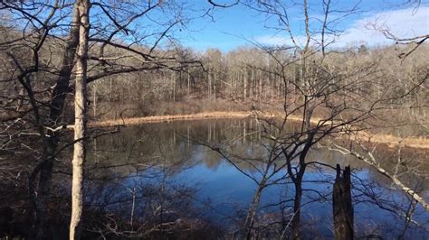 Baker's Pond in Holly Springs National Forest, Mississippi - YouTube