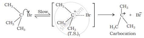 Explain the Mechanism of Alkaline Hydrolysis of Tert-butyl Bromide with ...