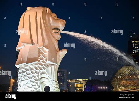 Merlion Park, a iconic statue in Singapore at Night. Merlion is a ...