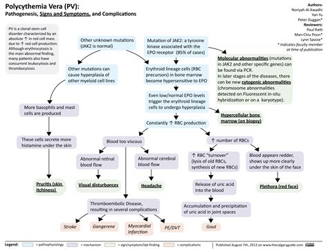 Polycythemia Vera (PV) | Calgary Guide