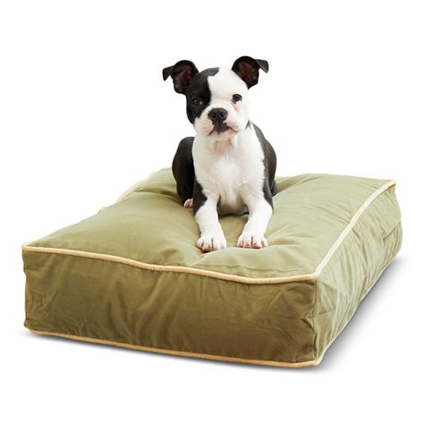 Happy Hounds Bter Rectangle Pillow Dog Bed - Walmart.com