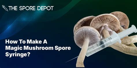 How To Make A Magic Mushroom Spore Syringe for beginners! - The Spore Depot