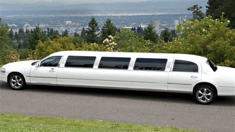 Your Luxury Travel Guide for Many Limousine Types