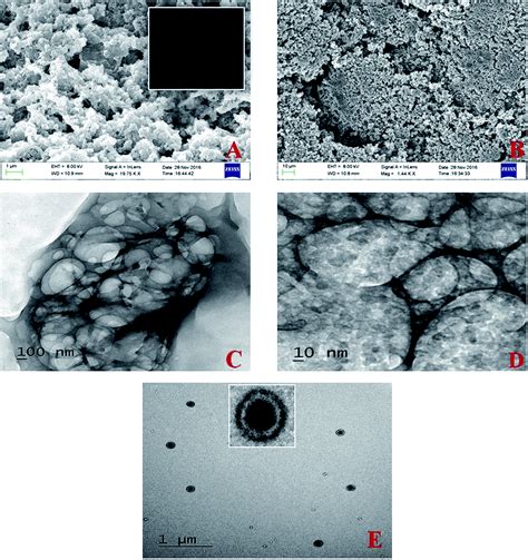 Synthesis, characterization and investigation of methyl orange dye removal from aqueous ...