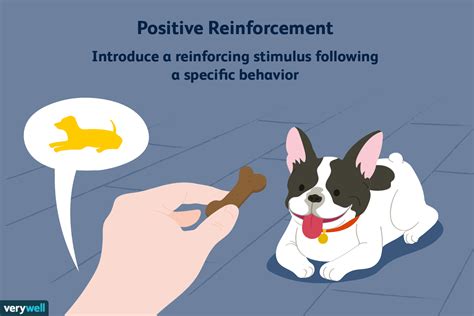 Positive Reinforcement and Operant Conditioning: Examples