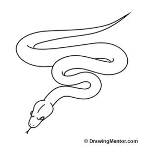 How to Draw a Snake