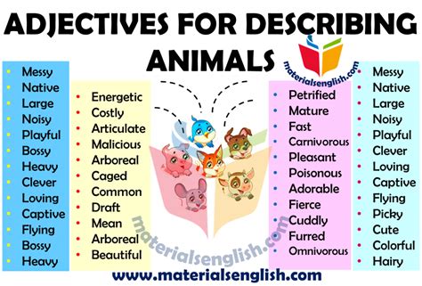 Adjectives For Describing Animals – Materials For Learning English