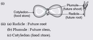 label parts of a seed