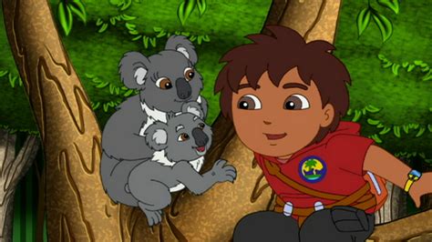 Watch Go, Diego, Go! Season 4 Episode 14: Koala's Birthday Hug - Full show on Paramount Plus