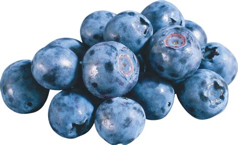 Blueberries PNG Image - PurePNG | Free transparent CC0 PNG Image Library